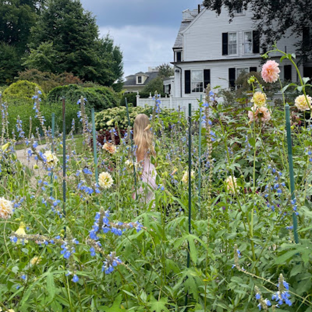 Meet your Posher, Samantha